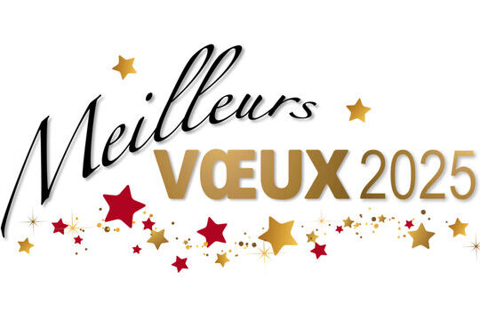 Meilleurs vœux 2025